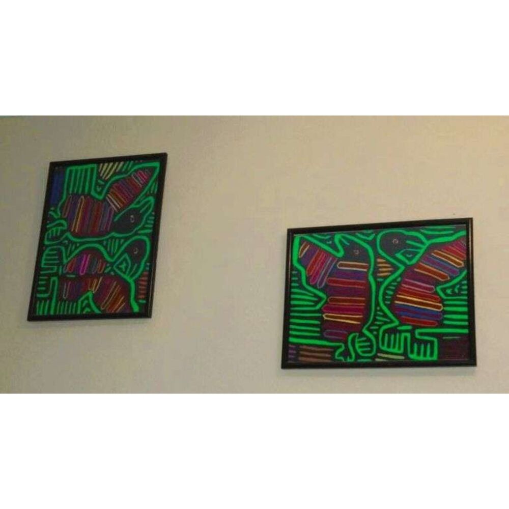 Pair of Vintage KUNA Indian mola Reverse Applique bird Panels in frames